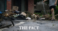 [TF포토] 산사태로 집 잃은 강아지