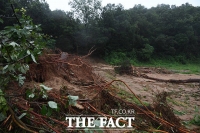 [TF포토] 폭우로 인해 뿌리 뽑힌 나무들