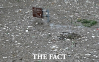 [TF사진관] '떠밀려온 쓰레기로 뒤덮힌 한강’