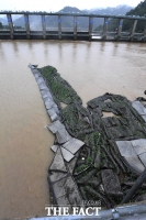 [TF포토] '의암댐 앞 위태롭게 걸려있는 인공수초 잔해'