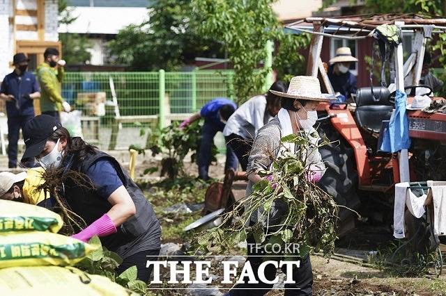 김정숙 여사가 12일 강원 철원군 동송읍 이길리 마을에서 수해 복구 봉사활동을 하고 있다. /청와대 제공