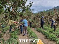  경남 하동·합천 특별재난지역 지정되나…빠르면 이번주 내 선포