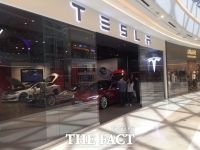  테슬라 '주식 쪼개기' 소식에 주가 13.12% 급등