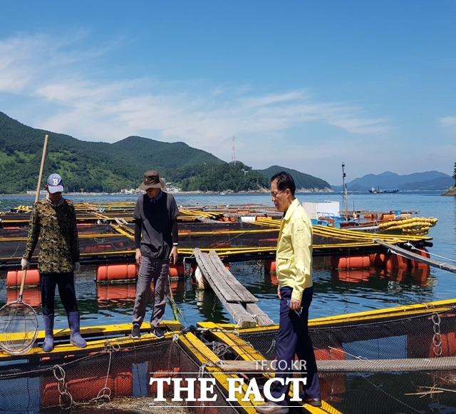 경남 남해안 일대에 고수온주의보가 발령됨에 따라 경남도가 18일 현장점검을 실시하고 있다./경남도 제공