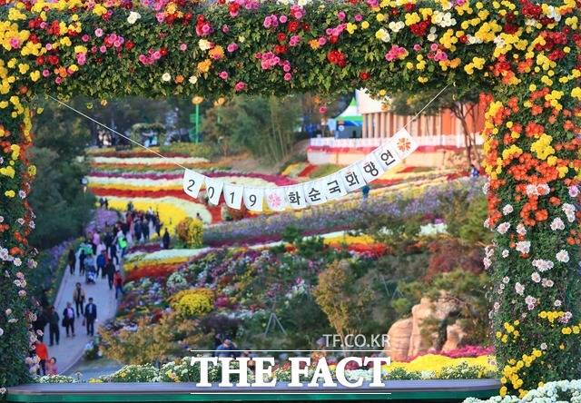 2019 화순국화향연 스케치./ 화순군 제공