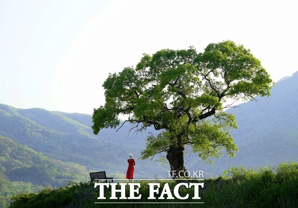 경북도가 지난 6월 11일부터 이달 9일까지 실시한 ‘인생샷! 김칠구 사진 공모전’의 수상 결과 손동환 씨의 ‘사진 찍기 좋은 곳’이 최우수상으로 선정됐다./경북도제공