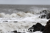 [TF포토] 태풍 바비 영향으로 거칠어진 바다