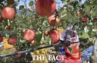  농진청 “수확 앞둔 농작물 태풍 피해 주의하세요”