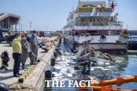  울릉군, 태풍‘마이삭’피해복구에 구슬땀 흘려
