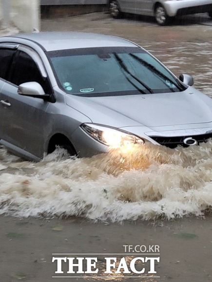 7일 오전 7시40분쯤 부산시 사하구 장림무지개공단 인근서 갑자기 불어난 물에 잠긴 승용차. /독자 제공