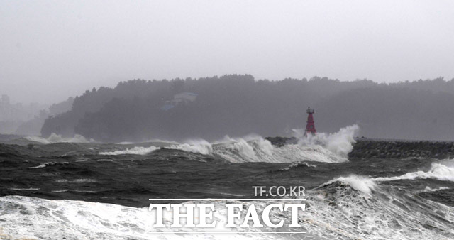 손해보험업계는 본격적인 피해 보상이 이뤄지는 올해 하반기 자동차보험 손해율이 대폭 증가할 것으로 우려하고 있다. 사진은 제10호 태풍 하이선이 동해상을 따라 북상하고 있는 7일 오후 강원도 동해시 묵호항에 파도가 강하게 치고 있는 모습. /임세준 기자
