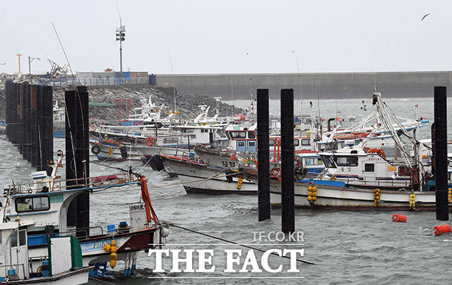 궁평항 내에 정박한 어선들도 홋줄로 단단히 고정되어 있다.