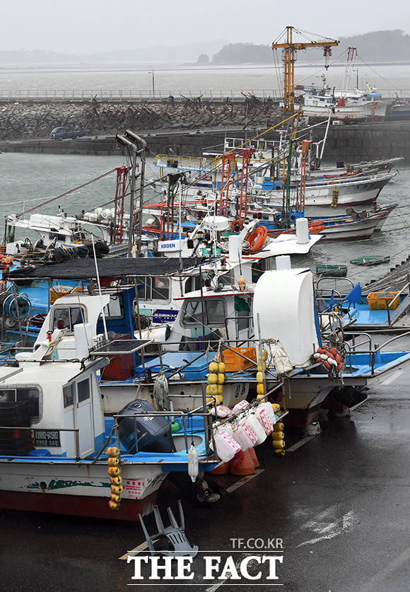 육지와 항구에 정박된 어선들이 태풍이 지나기를 기다리고 있다.