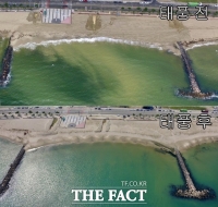  포항 송도해수욕장 복원사업, 연이은 태풍에 차질