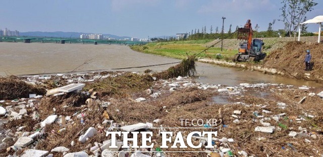 포항시가 태풍에 떠내려 온 형산강 부유물(쓰레기) 처리에 안간힘을 쏟고 있다./포항시 제공