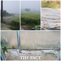 [TF포토] 남원에 우수수 쏟아지는 우박