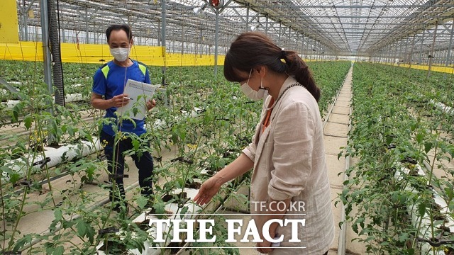 어깨동무컨설팅 지원은 딸기, 방울토마토, 사과, 배, 참다래 재배에 참여하고 있거나 경영기록장을 2년 이상 기장하고 있는 우수 기장농가를 대상으로 했다. 사진은 어깨동무컨설팅 현장 모습./ 화순군 제공