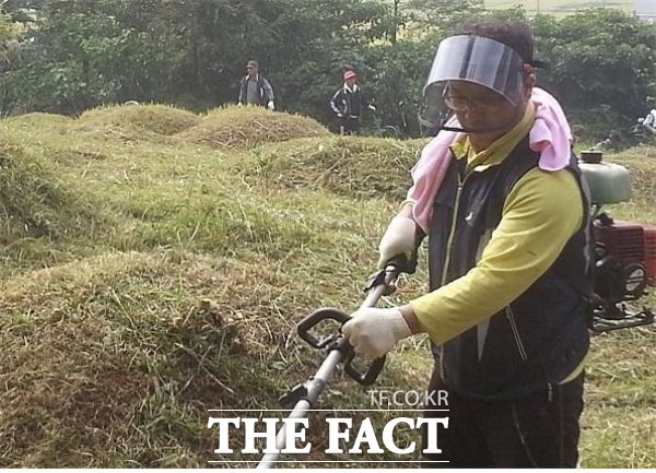 9일 전북도가 도내 출향인들을 대상으로 코로나19 확산 방지를 위한 벌초 대행 서비스를 접수받는다. /전북도 제공