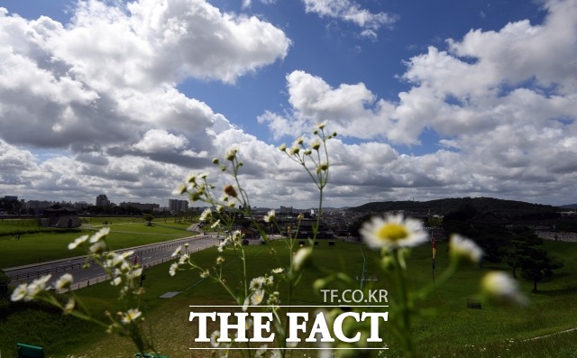 일요일인 오늘(13일)은 중부와 강원 영동, 충남 서해안, 전북 서해안, 전남, 제주도에 오전까지 비가 내리겠다. 오후에도 곳곳에서 비나 소나기가 오겠다. 예상되는 비의 양은 5~20mm정도다. /더팩트 DB