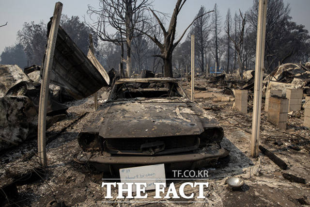 미국 서부 해안의 3개 주(州)에서 발생한 대형 산불이 확산하면서 사망자가 17명으로 늘었다. 적기 경보가 내려진 오리건주에서는 수십 건의 대형 산불이 진행 중이다. /AP/뉴시스