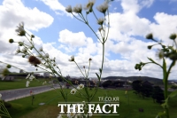  [오늘의 날씨] 아침은 가을, 낮은 여름…'일교차 커요'