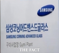  삼성코닝어드밴스드글라스 구미 공장, 중국 기업에 매각