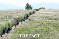  靑 '한국, '살기 좋은 나라' 17위…2014년 이후 최고 순위'