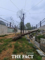  전주동물원, 스라소니 새 보금자리 ‘맹수의 숲’ 조성