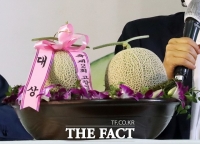  고창멜론, 온라인 경매서 멜론 2개 210만 원에 낙찰