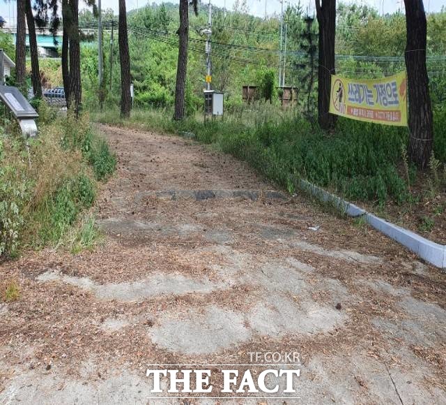 구미시 해평청소년수련원부대시설 출입로에 수풀과 낙엽이 무성하다./구미=김서업 기자