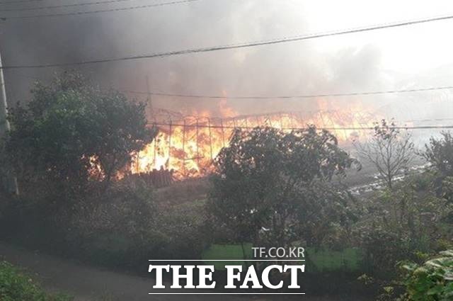 경기도소방재난본부 등에 따르면 이날 오후 3시 34분께 경기 광명시 노온사동 인근 한 비닐하우스에서 화재가 발생했다. /경기도소방재난본부 제공