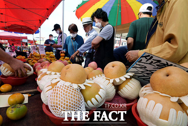 추석 연휴 전날(29일) 오전 경기도 성남시 중원구 모란민속5일장을 찾은 시민들이 제수용품을 구매하고 있다. /이선화 기자