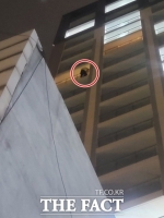  '술 사오라' 자가격리 중 호텔 14층서 '투신 소동' 벌인 40대