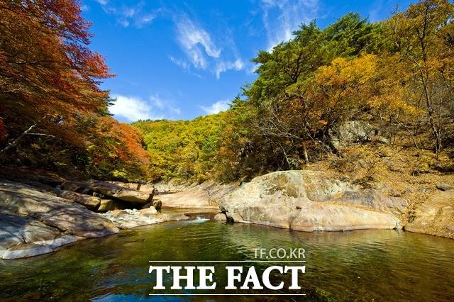 산청군 대원사 계곡의 가을/산청군 제공