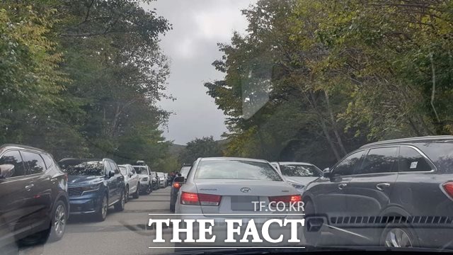 10일 지리산국립공원 노고단 입구에 불법 주차된 차량들. /독자 제공