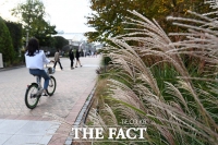 [TF사진관] '가족과 함께, 연인과 함께' 깊어가는 가을