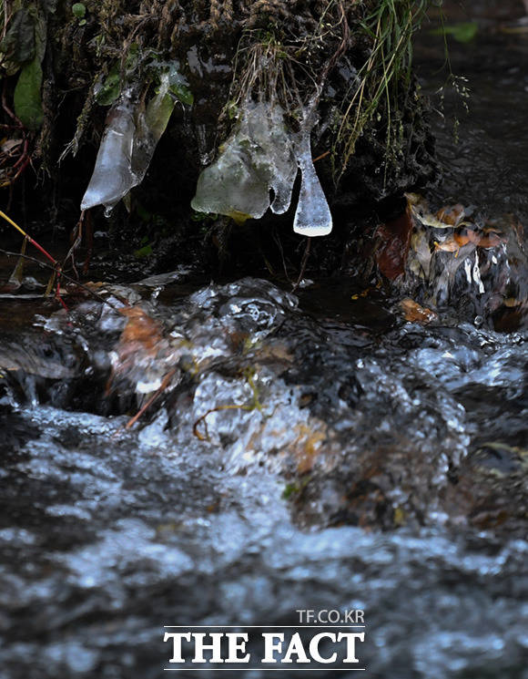 목요일인 15일은 아침기온이 낮아 쌀쌀하고 낮과 밤의 기온차가 커 건강관리에 유의해야 한다. 일부 지역에서는 얼음이 어는 곳이 있겠다. /임세준 기자