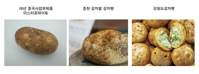 파리바게뜨 중국 법인이 지난 2018년 초 출시한 미스터 포테이토와 춘천 감자밭 감자빵의 경우 표절 논란이 불거진 강원도 감자빵과 비슷한 형태를 갖추고 있다. /더팩트 DB