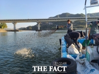  하동군, 집중호우 때 쓸려간 '섬진강 재첩' 서식지 복원 나서