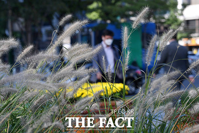 토요일인 17일은 아침에 쌀쌀하고 낮밤 기온차가 큰 날씨가 되겠다./남용희 기자