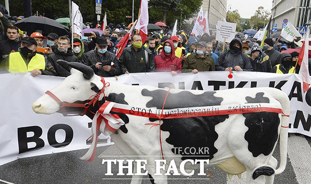 13일(현지시간) 폴란드 수도 바르샤바에서 축산 농민들이 동물복지법안에 반대하는 시위에 참여하고 있다. 이날 폴란드 전역에서 모인 농부들이 모피용 동물 사육을 금지하고 종교의식을 위해 동물을 도살하는 것을 제한하는 이 법안에 항의하며 시위를 벌였다. / 바르샤바=AP.뉴시스