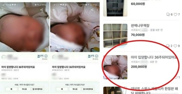 당근마켓에 36주 된 아이를 입양한다는 판매 글이 올라와 경찰이 조사 중이다. /당근마켓 캡처
