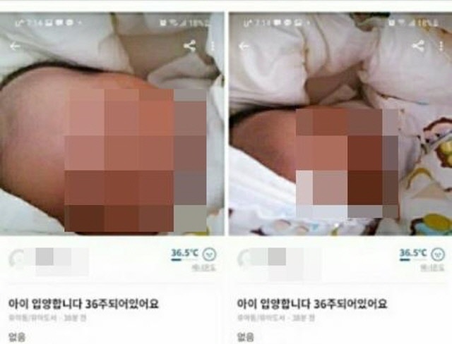 17일 제주서부경찰서는 지난 16일 36주 아이를 판매한다는 게시물을 올린 산모의 소재를 파악했다. /중고거래 앱 갈무리