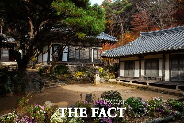 봉정사는 신라 문무왕 12년(672)에 의상대사의 제자인 능인스님이 창건했다. 한국에서 가장 오래된 목조건물을 가진 이곳은 2018년 유네스코 세계문화유산으로 지정됐다.사진은 봉정사 영산암./안동시 제공