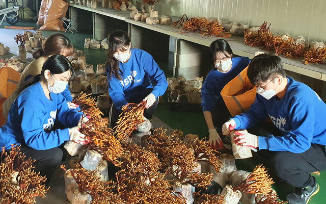 bhc치킨 해바라기 봉사단은 지난 17일 경기도 여주시 소재 버섯농가에서 봉사활동을 했다. /bhc치킨 제공