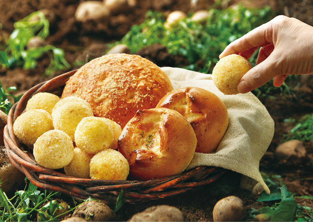 파리바게뜨가 지역 농가와 상생을 위해 선보이는 강원도 감자 제품 2탄으로 신제품 2종을 추가 출시한다. /파리바게뜨 제공