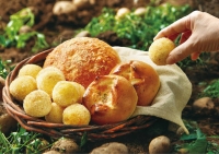  '농가 상생 지속' 파리바게뜨, 판매 중단에 앞당겨 신제품 출시