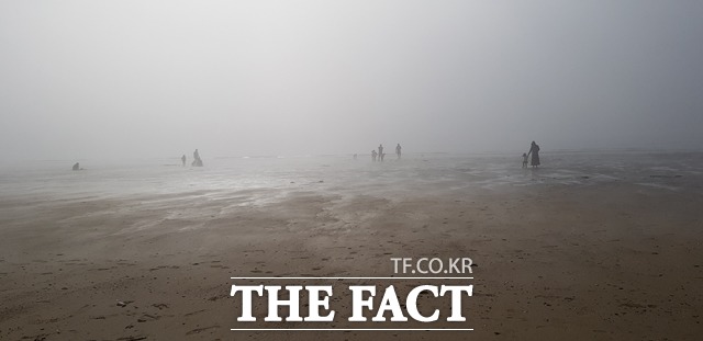 22일 중국발 황사 영향으로 전북 지역에 올가을 들어 첫 미세먼지(PM10) 주의보가 발령됐다. /부안=이경민 기자