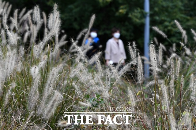 일요일인 오늘(25일)은 전국이 대체로 맑은 가운데 쌀쌀하겠다. 내륙을 중심으로 아침 기온은 5도 안팎으로 떨어지겠다. /더팩트 DB