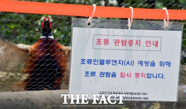 농림축산식품부가 지난 21일 재취한 야생조류 분변에서 고병원성 조류인플루엔자가 확진됐다. 지난 2018년 2월 충남 아산에서 고병원성 조류인플루엔자 발생 이후 2년 8개월 만이다. /더팩트 DB